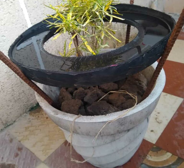 Excessive water conservation while watering the plants