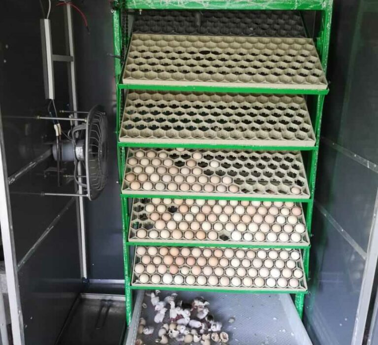 Fully Automatic Egg Incubator with Low Power Consumption and very low Maintenance.