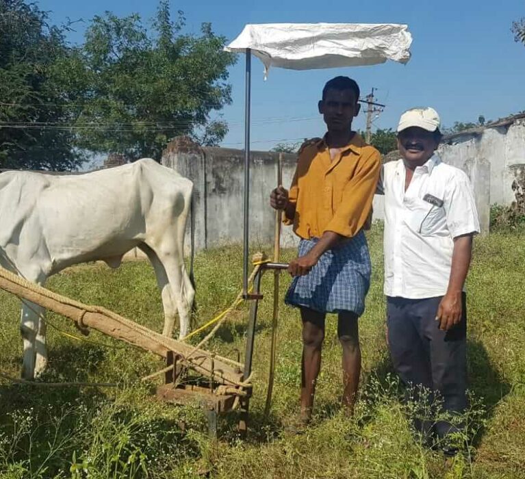 Shade attached to the end of the bullock cart for farmers